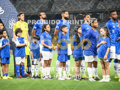 Detalhes da foto #42755