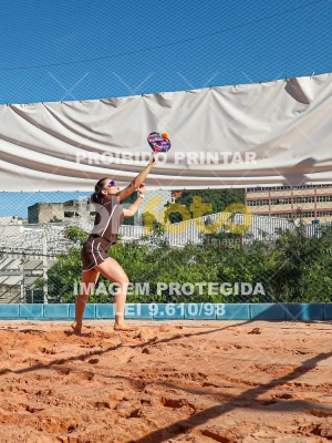 Detalhes da foto #4244557