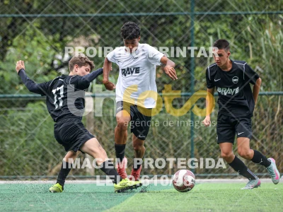 Detalhes da foto #60629