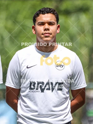 Detalhes da foto #258132