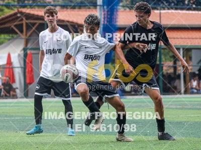 Detalhes da foto #12465