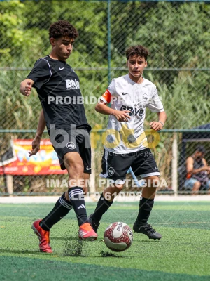 Detalhes da foto #91478