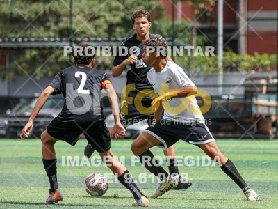 Detalhes da foto #71355