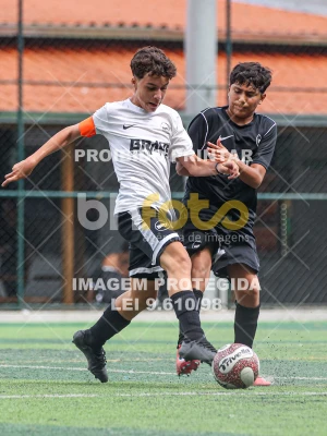 Detalhes da foto #42309