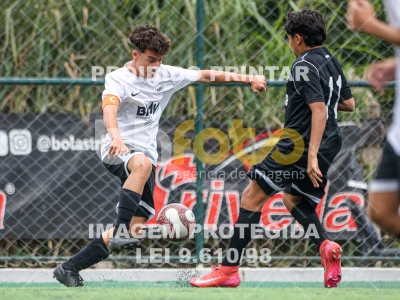 Detalhes da foto #68624