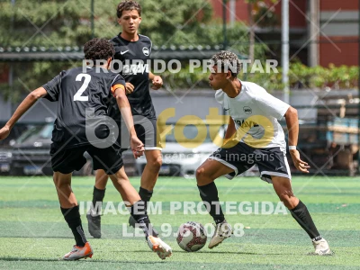 Detalhes da foto #56031