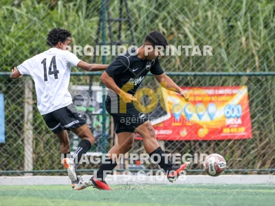 Detalhes da foto #47702