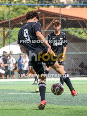 Detalhes da foto #67078