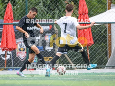 Detalhes da foto #33820