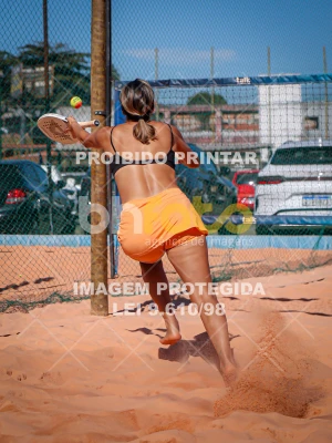 Detalhes da foto #3559493