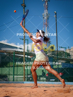 Detalhes da foto #2617324