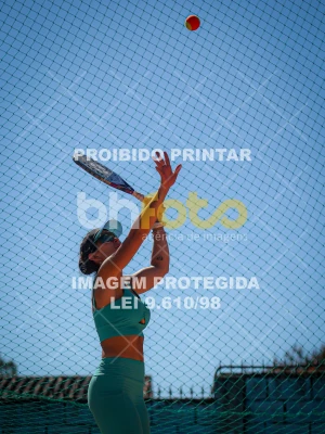 Detalhes da foto #4589098