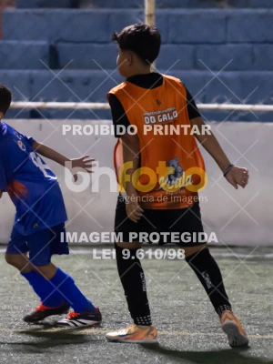 Detalhes da foto #2786563
