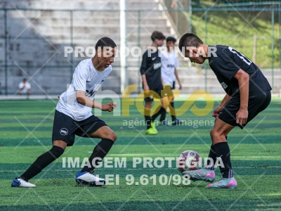 Detalhes da foto #1507933