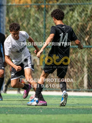 Detalhes da foto #8535159