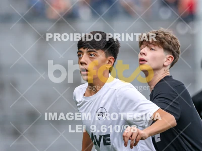 Detalhes da foto #8082957