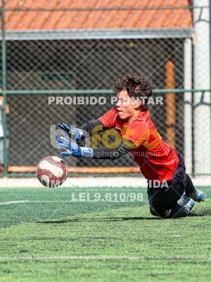 Detalhes da foto #7014205