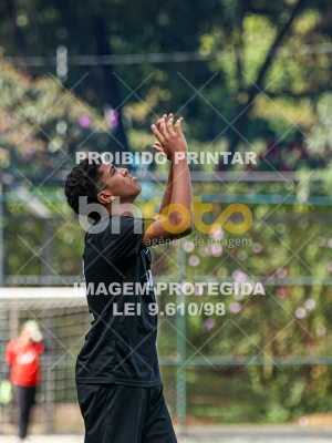 Detalhes da foto #3461754
