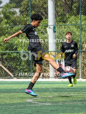 Detalhes da foto #7341912