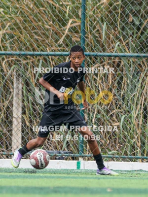 Detalhes da foto #4239346