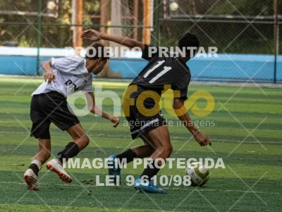 Detalhes da foto #3342887