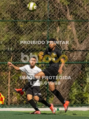 Detalhes da foto #6765179