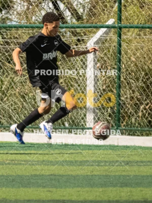 Detalhes da foto #9049445