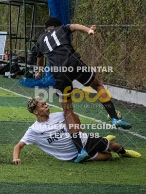 Detalhes da foto #8743053
