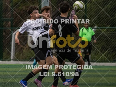 Detalhes da foto #6846989