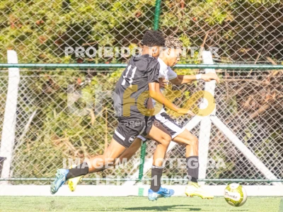 Detalhes da foto #3458287
