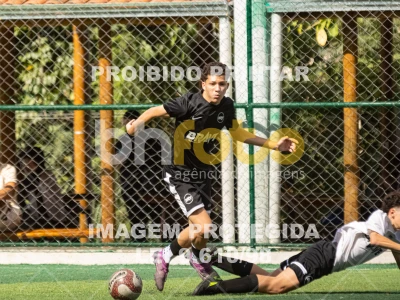 Detalhes da foto #7184187
