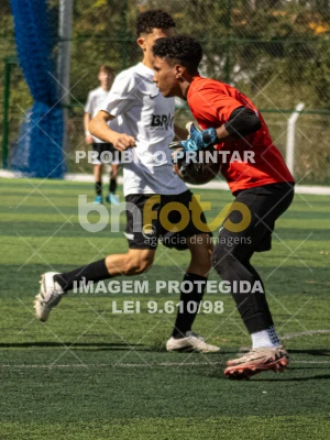 Detalhes da foto #9085843