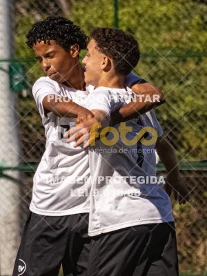 Detalhes da foto #2842320