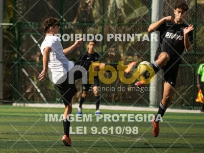 Detalhes da foto #1919135