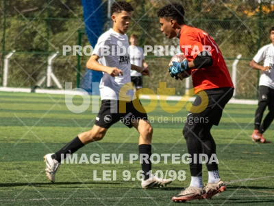 Detalhes da foto #5539731