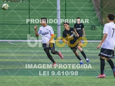 Detalhes da foto #3356362
