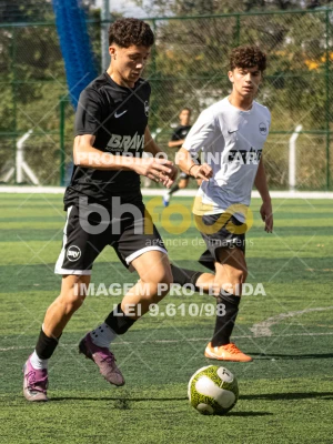 Detalhes da foto #3261675