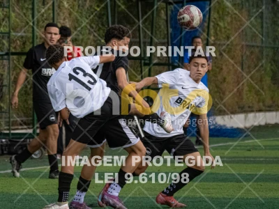 Detalhes da foto #1150120