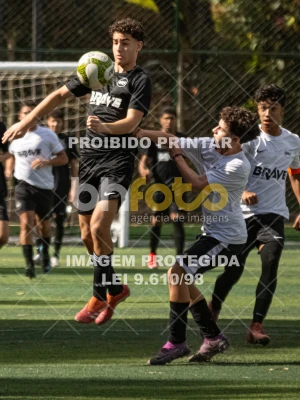 Detalhes da foto #4418723