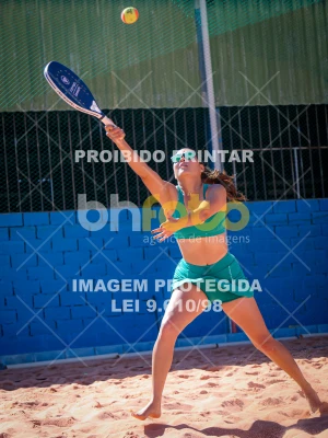 Detalhes da foto #4270374