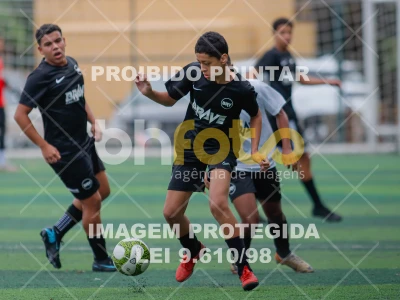 Detalhes da foto #7195382