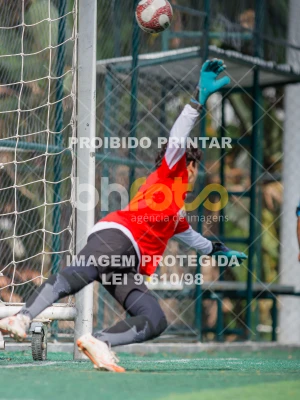 Detalhes da foto #4970596