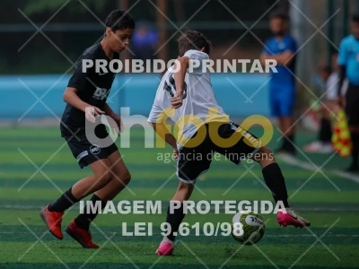 Detalhes da foto #1427249