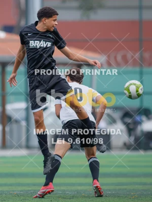 Detalhes da foto #3939068