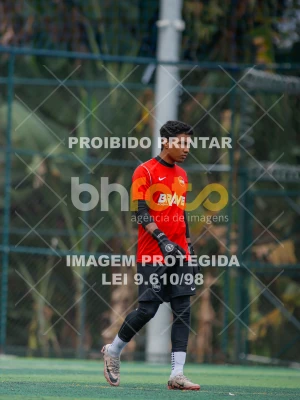 Detalhes da foto #4286630