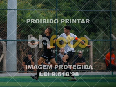 Detalhes da foto #6552408