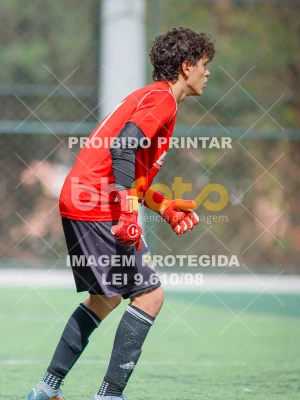 Detalhes da foto #1522840