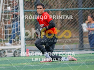 Detalhes da foto #1405042