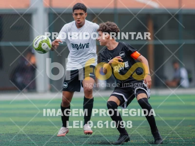 Detalhes da foto #3063344