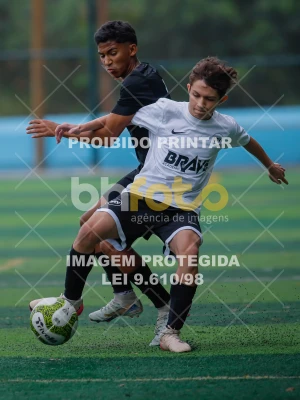 Detalhes da foto #8309055